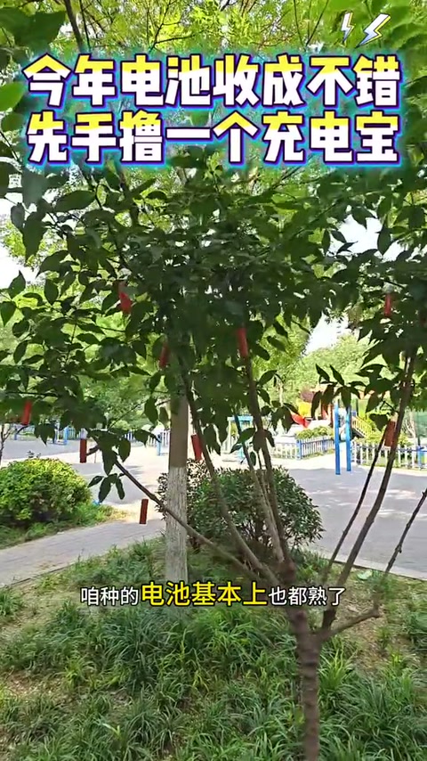 视频